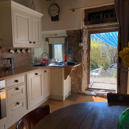 Gites Limousin - La Vienne 维代 外观 照片