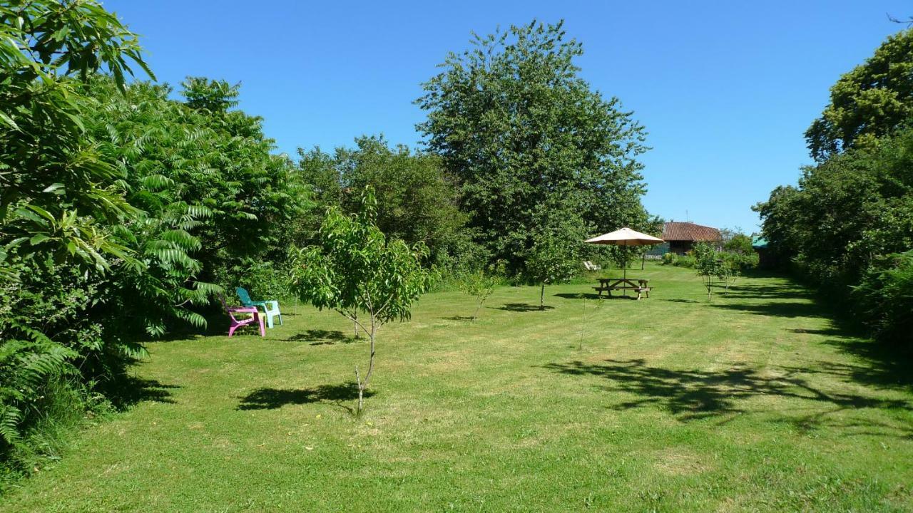 Gites Limousin - La Vienne 维代 外观 照片