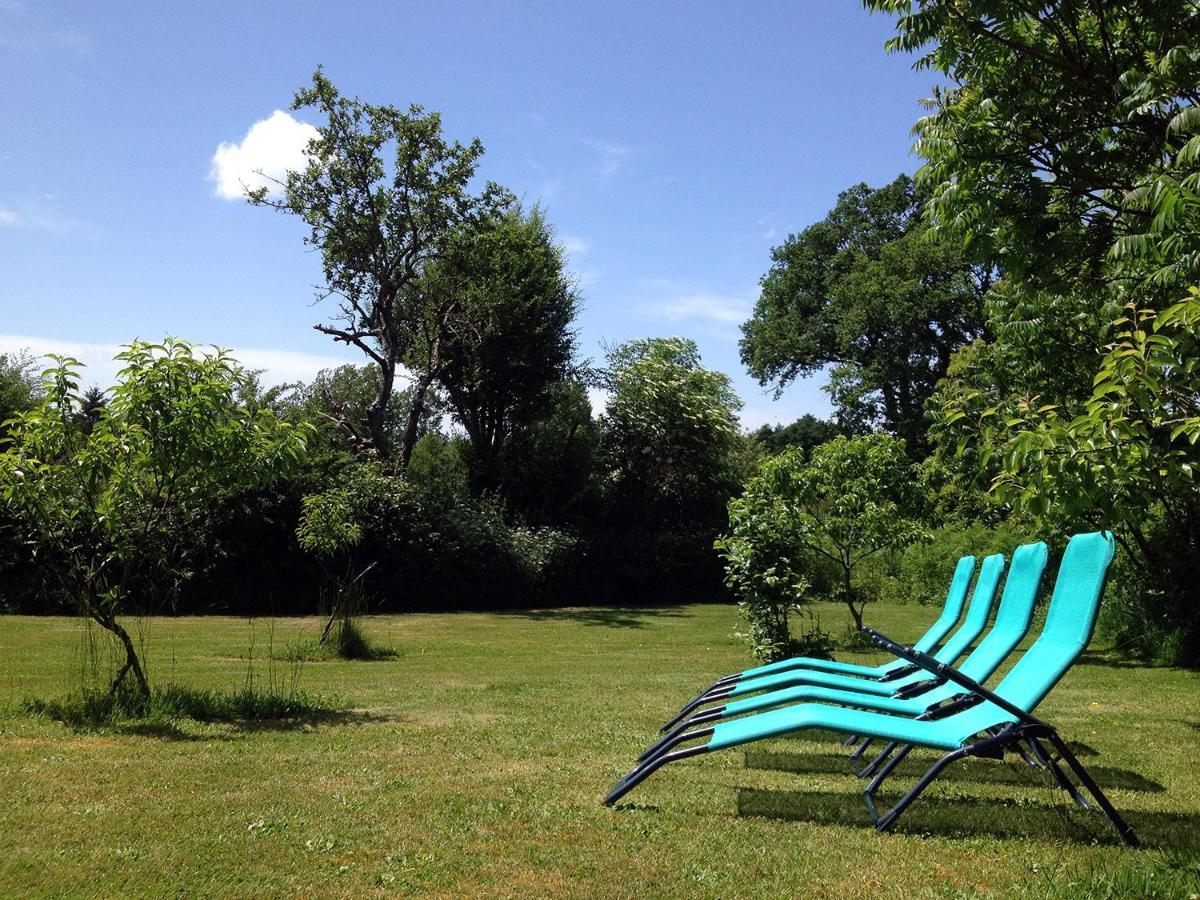 Gites Limousin - La Vienne 维代 外观 照片